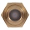Cash Acme BF-1 Series 3/4 in. FPT X 3/4 in. FPT Brass Check Valve Back Flow Preventer BF13434 - alternate 2